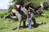 Stegosaurus Figure Stegosaurus Figure