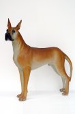 Life Size Great Dane Dog Life Size Great Dane Dog