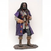 Carribean Pirate Carribean Pirate